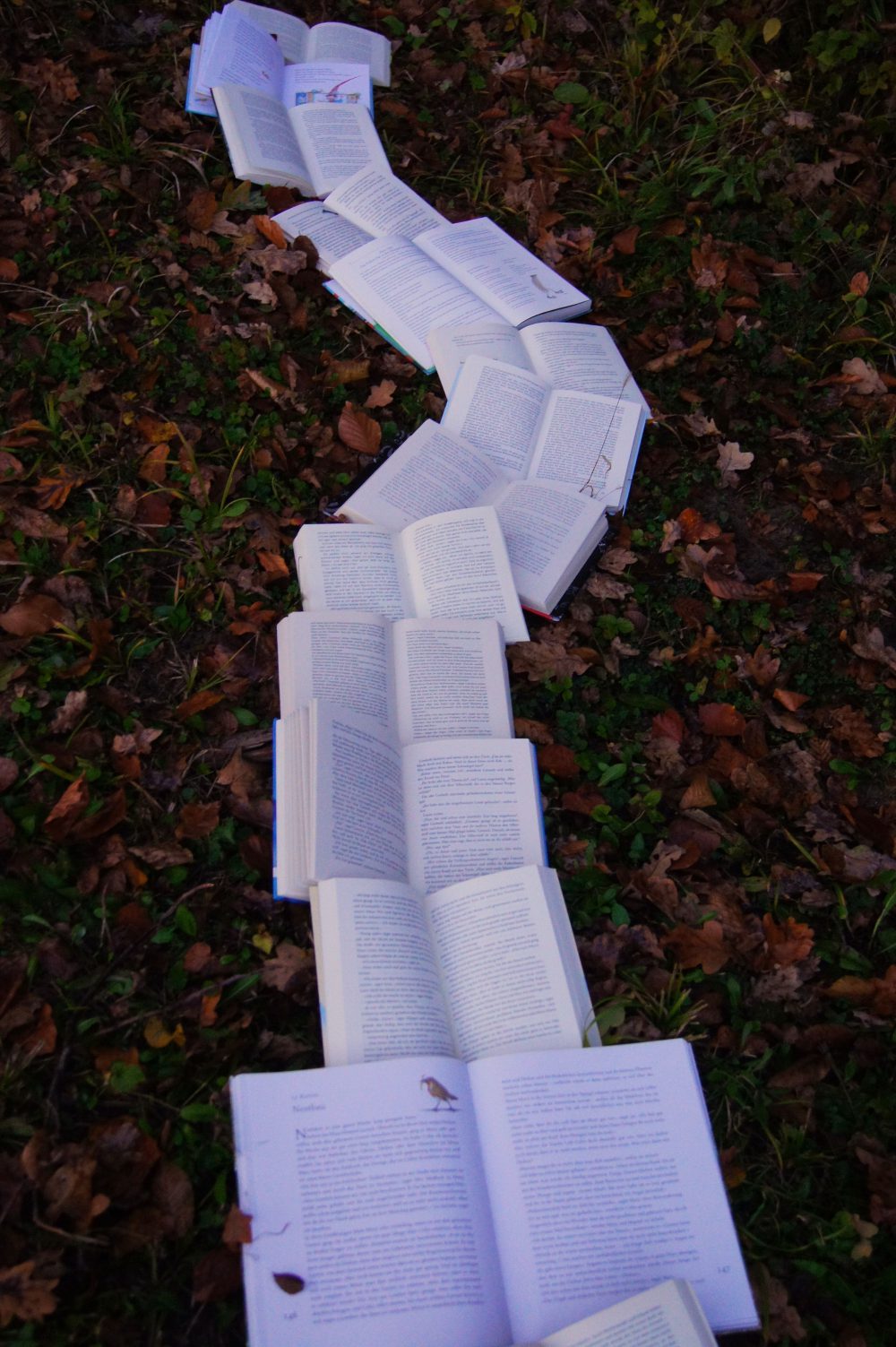 An arrangement of books on leaves