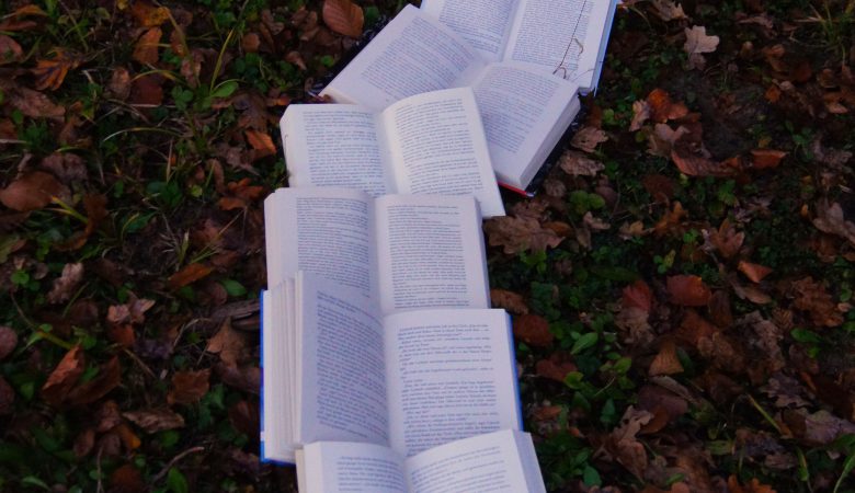 An arrangement of books on leaves