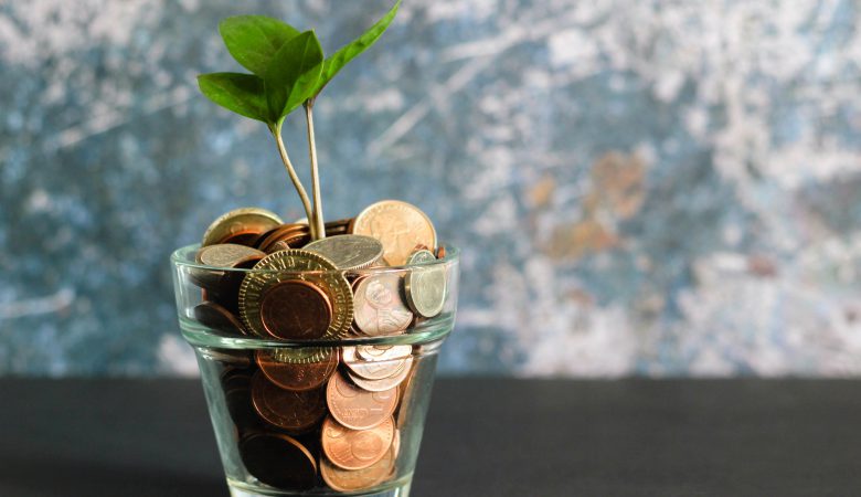 A glass vase with coins and a plant in the middle